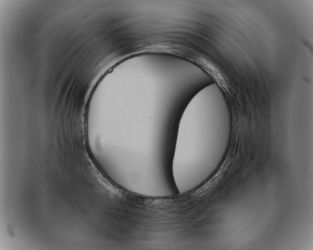 X0000091650808200708231009