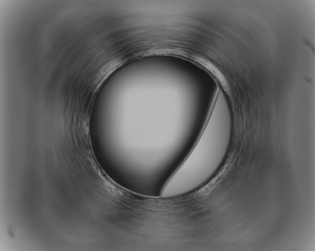 X0000091650809200708231009