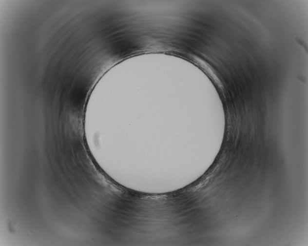 X0000091650810200708231009
