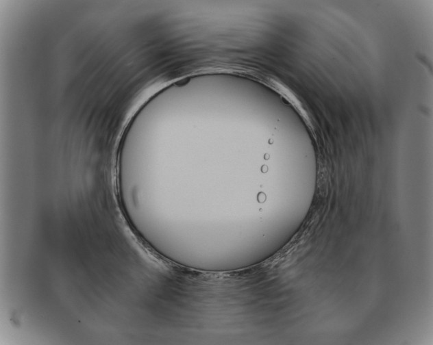 X0000091650811200708231009