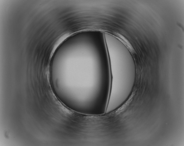 X0000091650812200708231009