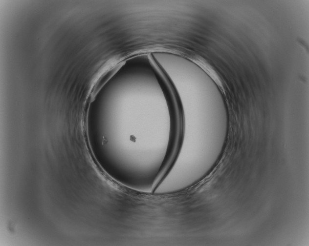 X0000091650813200708231009
