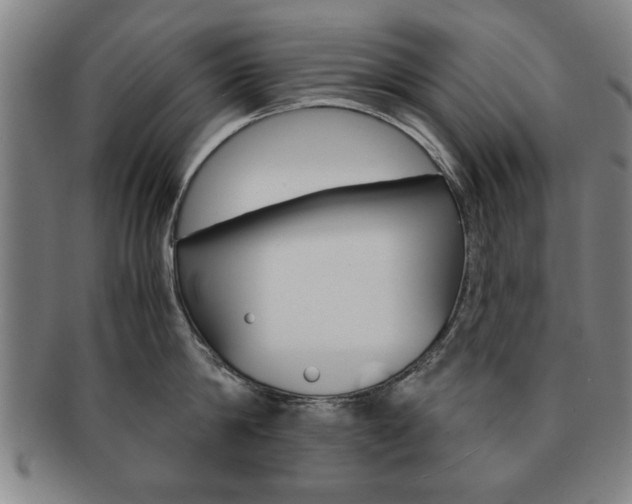 X0000091650814200708231009