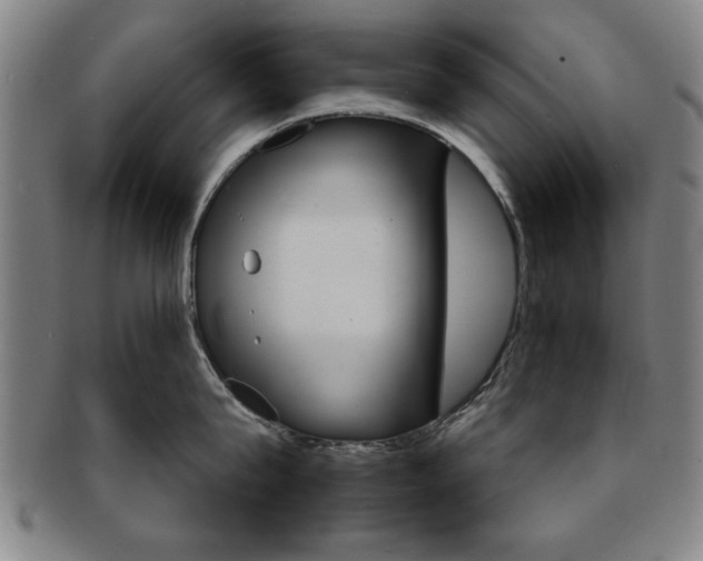 X0000091650815200708231009