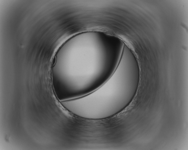 X0000091650816200708231009