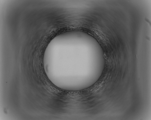 X0000091650817200708231008