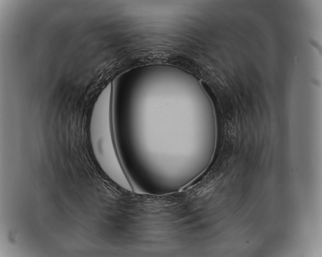 X0000091650818200708231008