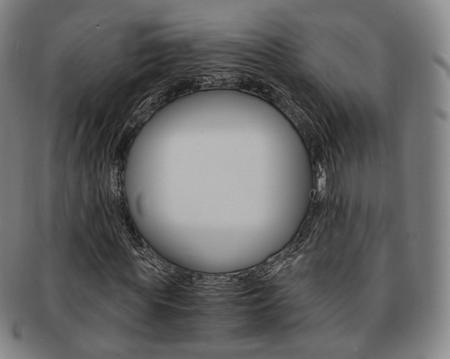 X0000091650819200708231008