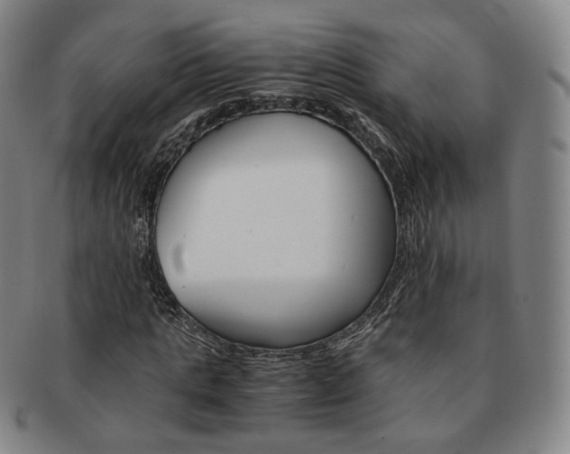 X0000091650821200708231008