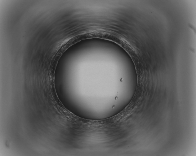 X0000091650822200708231008
