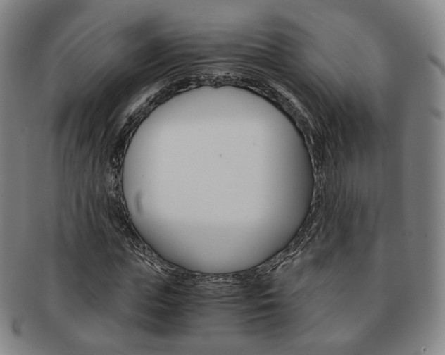 X0000091650823200708231008