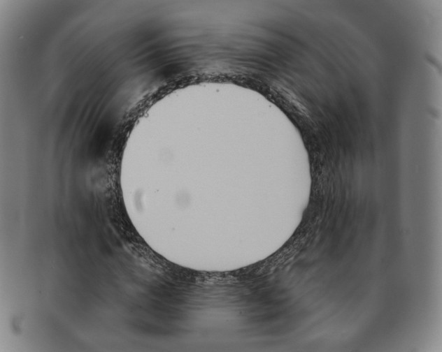 X0000091650824200708231008