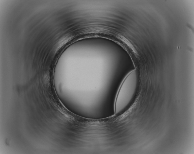 X0000091650826200708231008