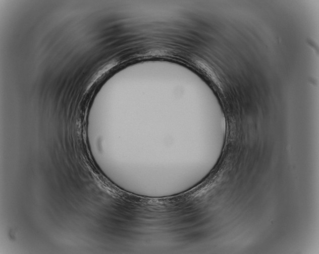 X0000091650827200708231008