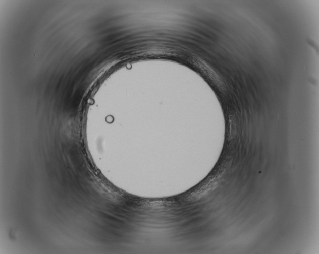 X0000091650828200708231008