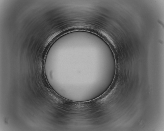 X0000091650829200708231008