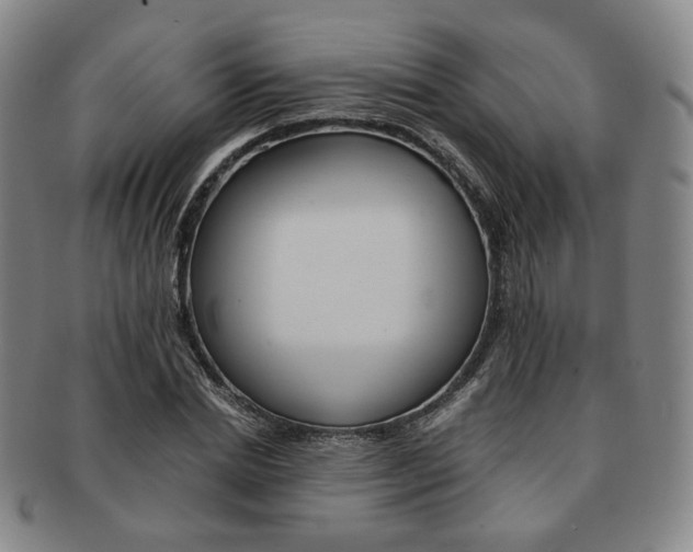 X0000091650830200708231008