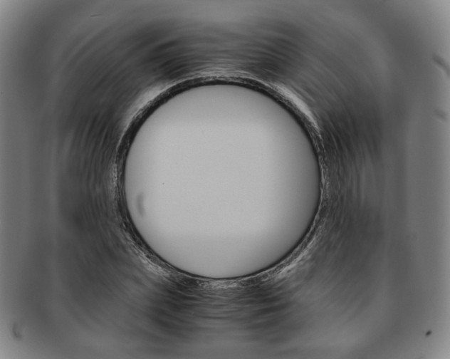 X0000091650831200708231008