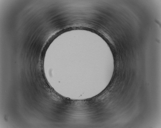X0000091650832200708231008