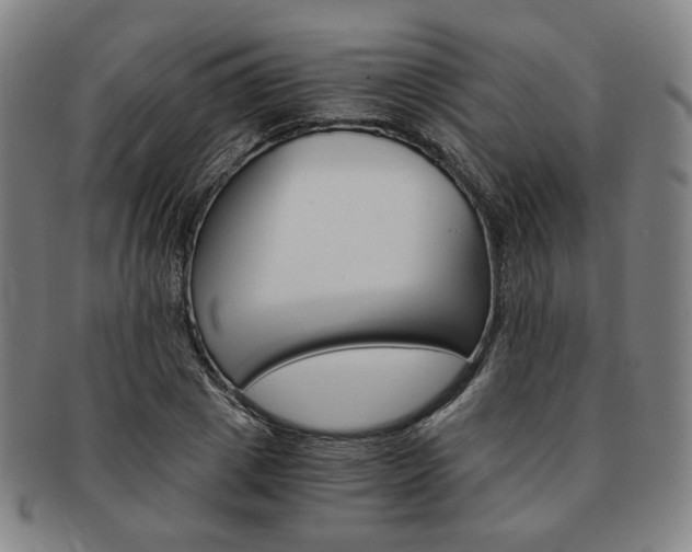 X0000091650833200708231008