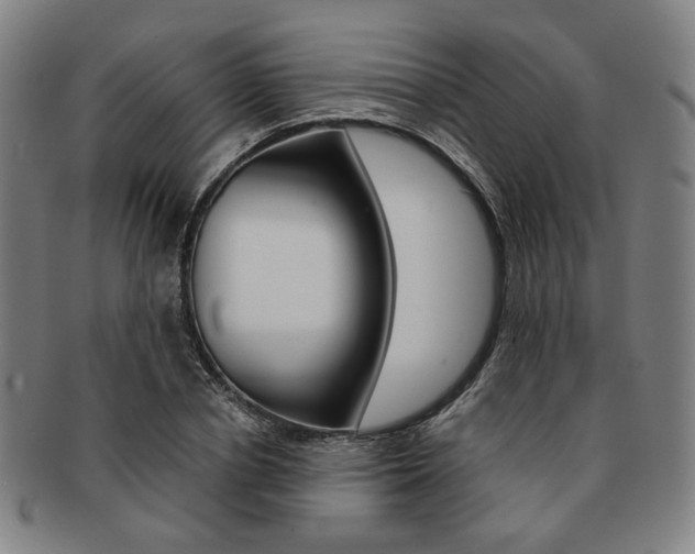 X0000091650834200708231008