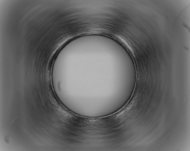 X0000091650835200708231008