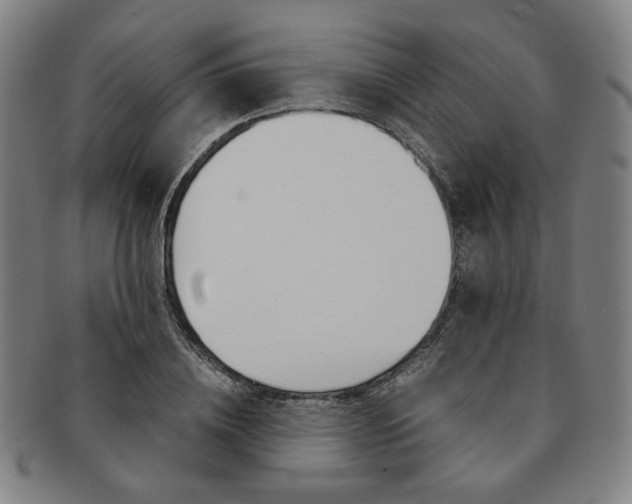 X0000091650836200708231008