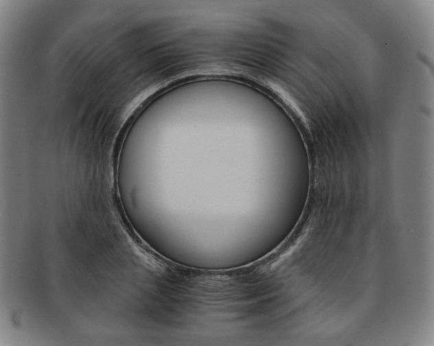 X0000091650837200708231008