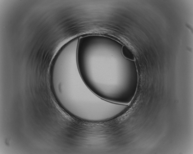X0000091650838200708231008