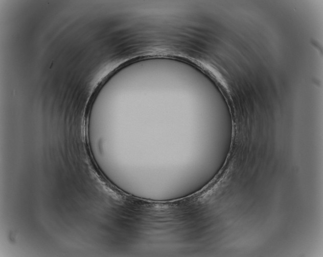 X0000091650839200708231008