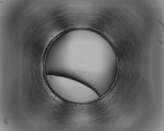 X0000091650840200708231008