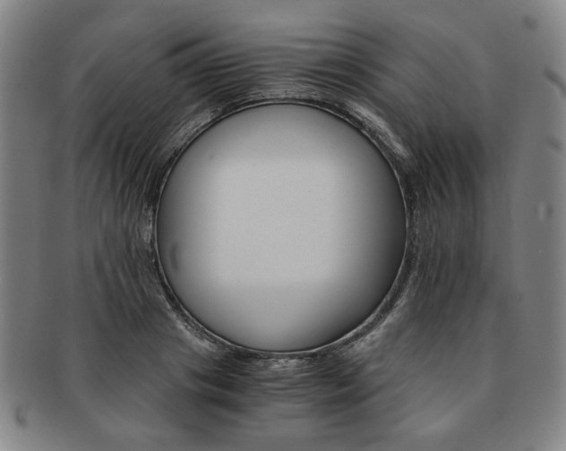 X0000091650841200708231008