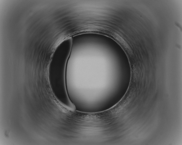 X0000091650842200708231008