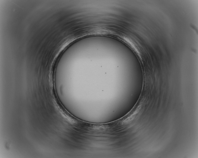 X0000091650843200708231008