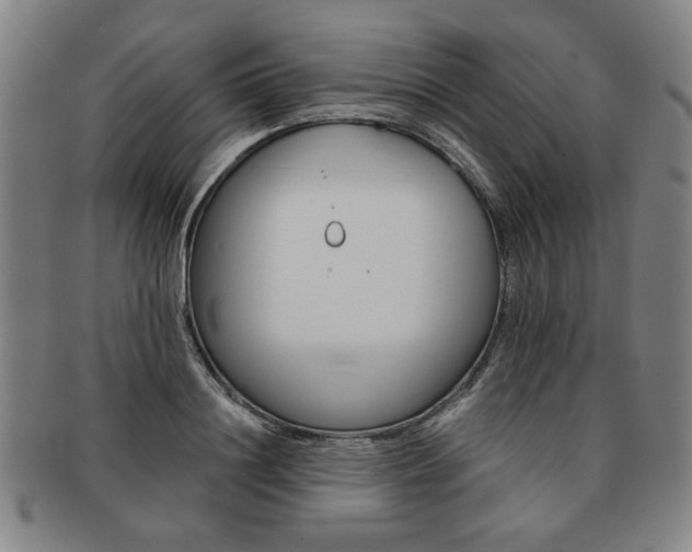 X0000091650844200708231008