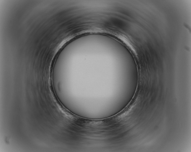 X0000091650845200708231008
