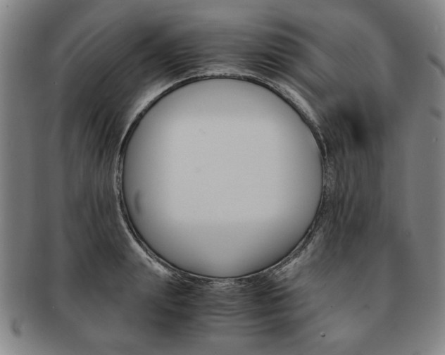X0000091650847200708231008