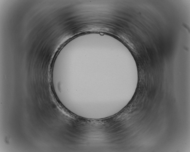X0000091650848200708231008