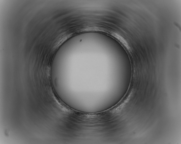 X0000091650849200708231008