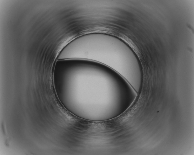X0000091650850200708231008