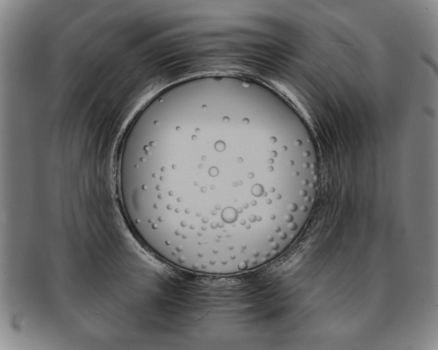 X0000091650851200708231008
