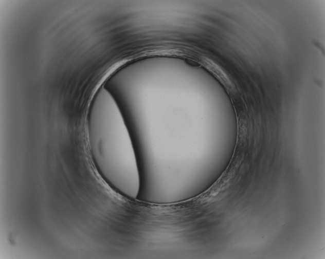 X0000091650852200708231008