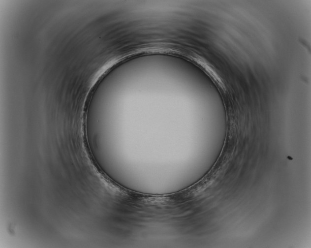 X0000091650853200708231008