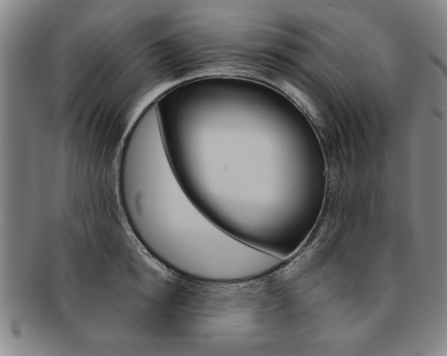 X0000091650854200708231009