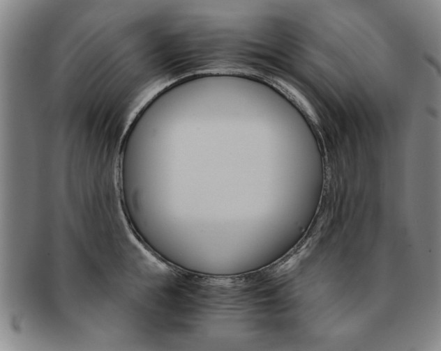 X0000091650855200708231009