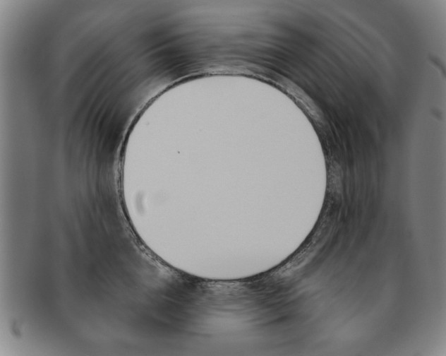 X0000091650856200708231009