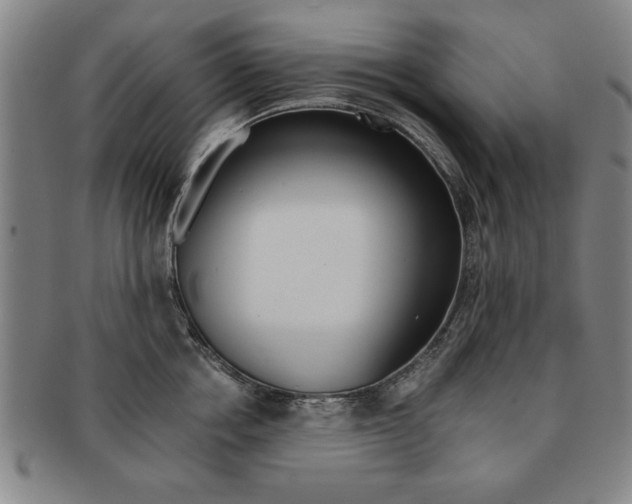 X0000091650858200708231009