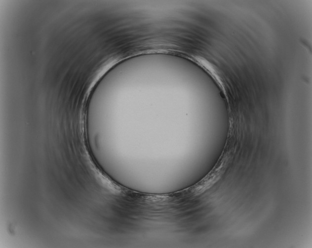 X0000091650859200708231009