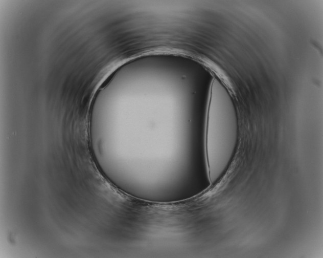 X0000091650860200708231009
