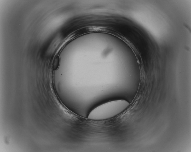 X0000091650861200708231009